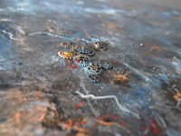 Spazio-Tempo5 - Dettaglio  Dettaglio